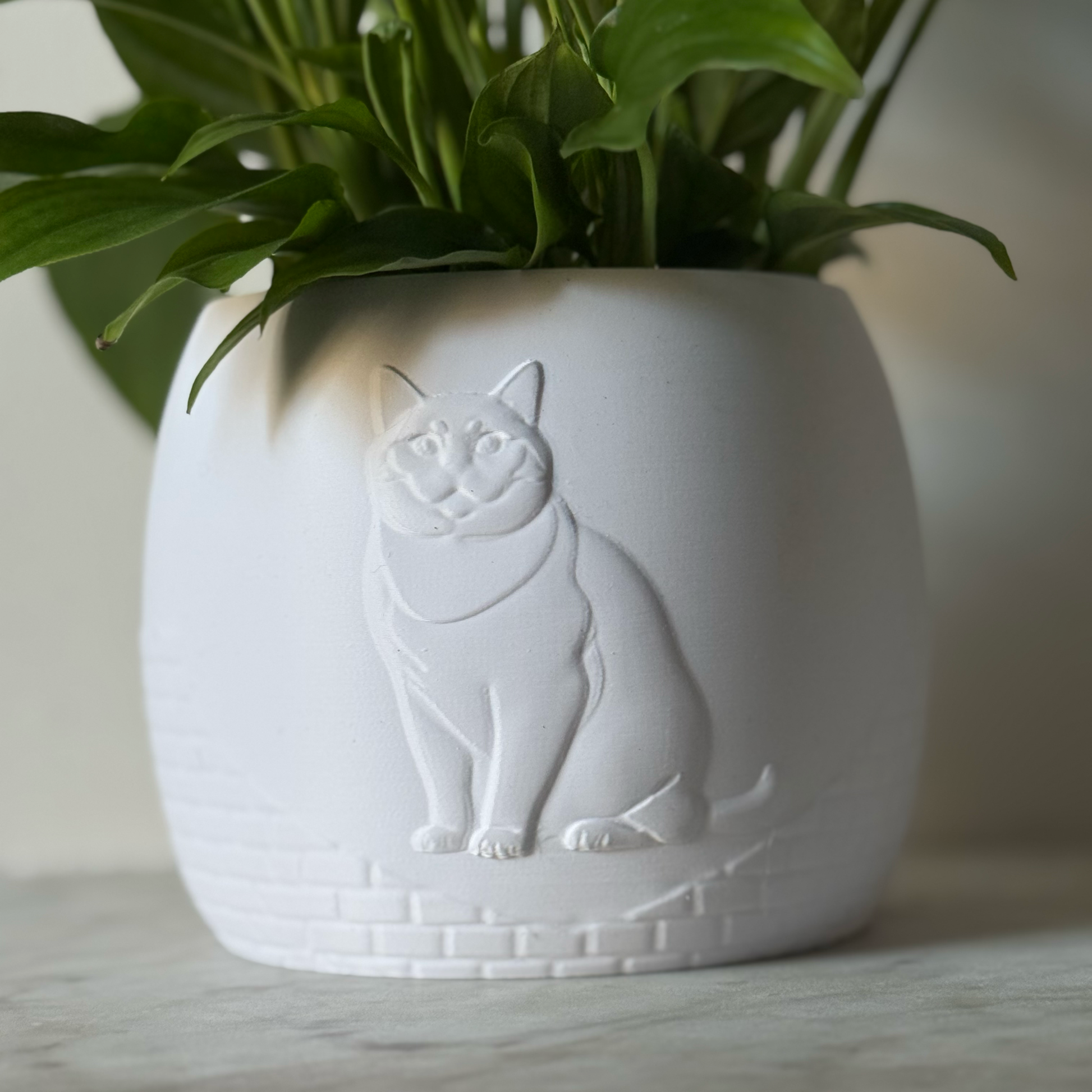 Green potted plant in a white plant pot with an embossed British Shorthair standing on a marble surface