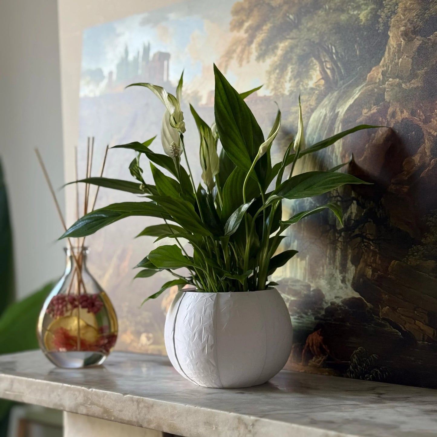 Green potted plant in a white plant pot on a marble surface with a painting in the background