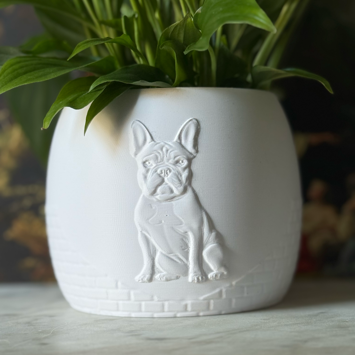 Green potted plant in a white plant pot with an embossed French Bulldog standing on a marble surface
