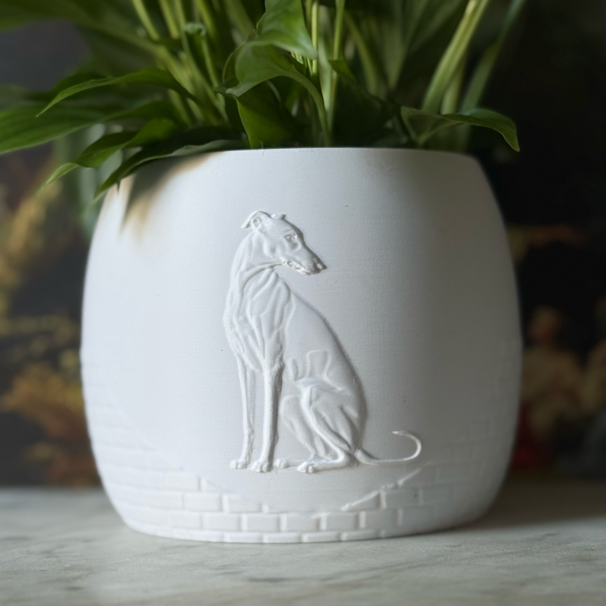 Green potted plant in a white plant pot with an embossed Greyhound standing on a marble surface
