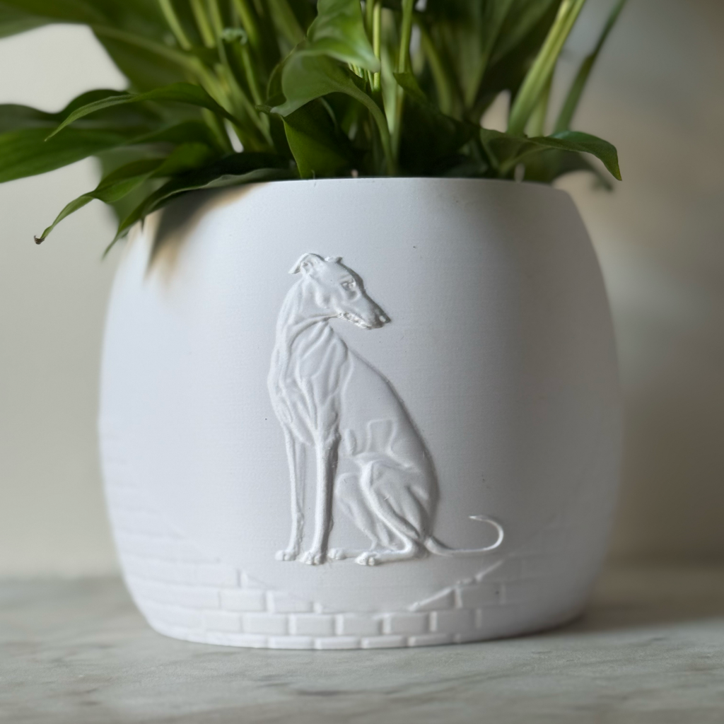 Green potted plant in a white plant pot with an embossed Greyhound standing on a marble surface