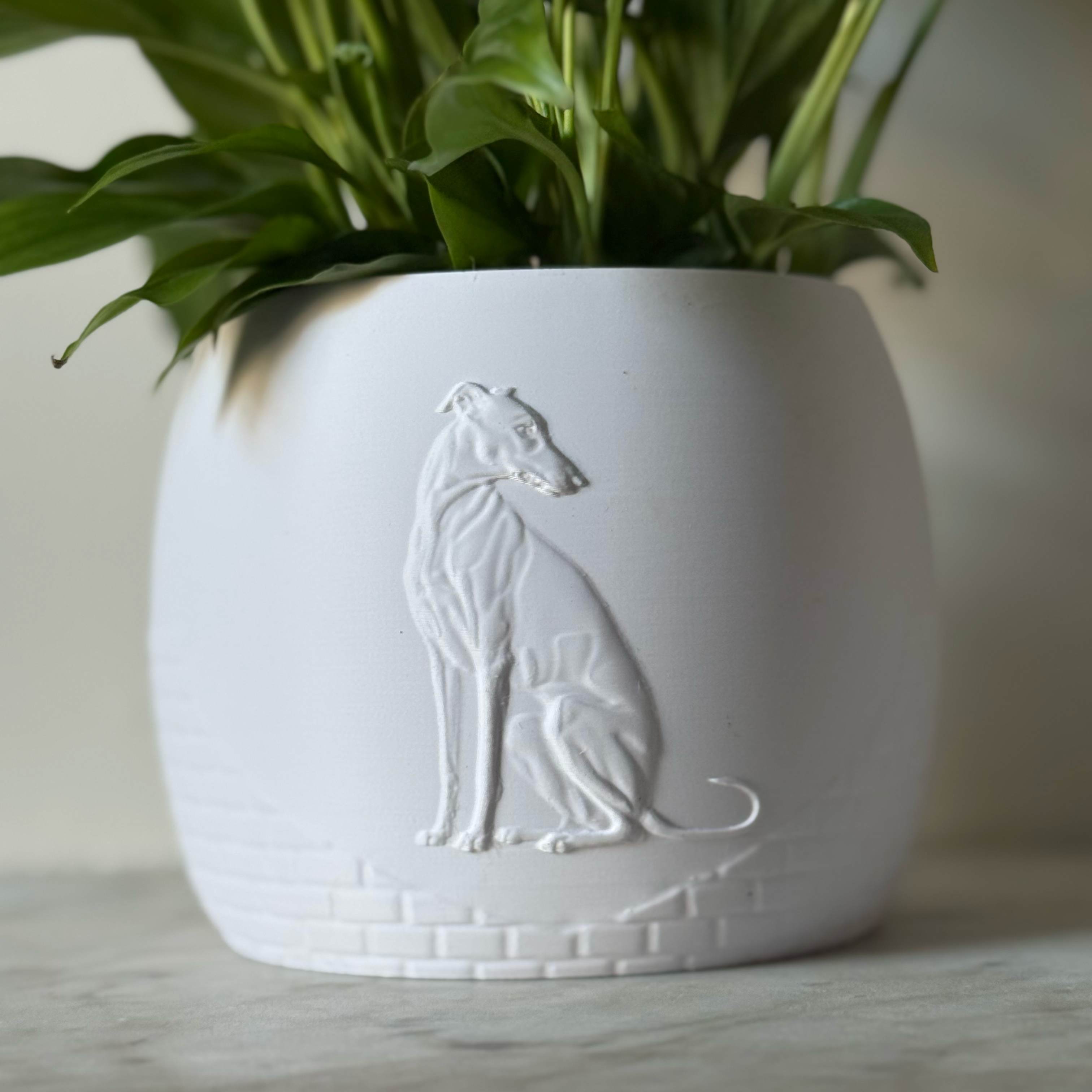 Green potted plant in a white plant pot with an embossed Greyhound standing on a marble surface