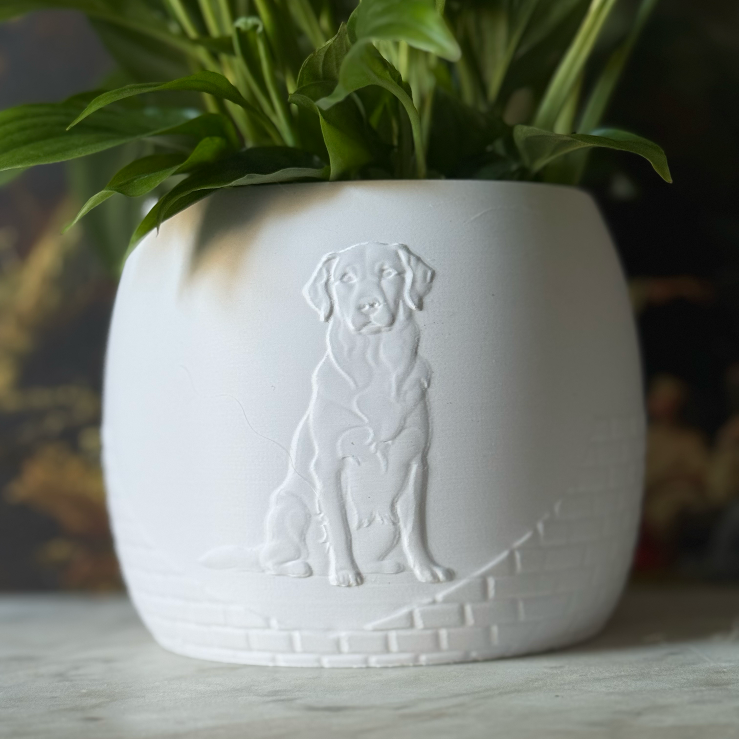 Green potted plant in a white plant pot with an embossed Labrador standing on a marble surface