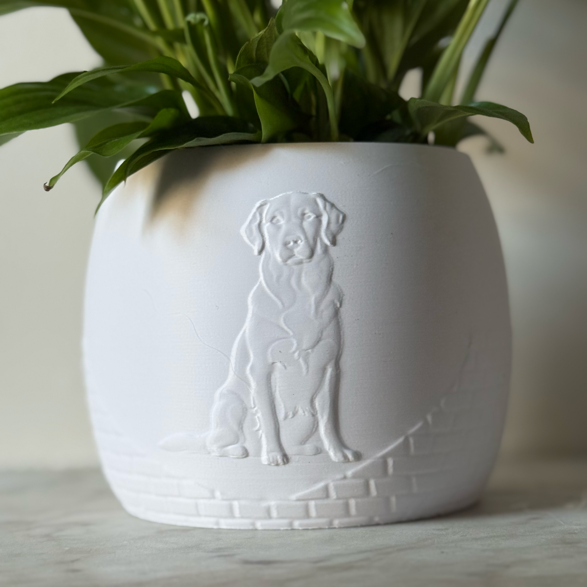 Green potted plant in a white plant pot with an embossed Labrador standing on a marble surface
