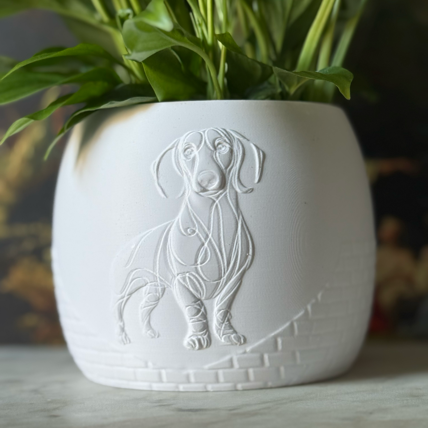 Green potted plant in a white plant pot with an embossed Sausage Dog standing on a marble surface