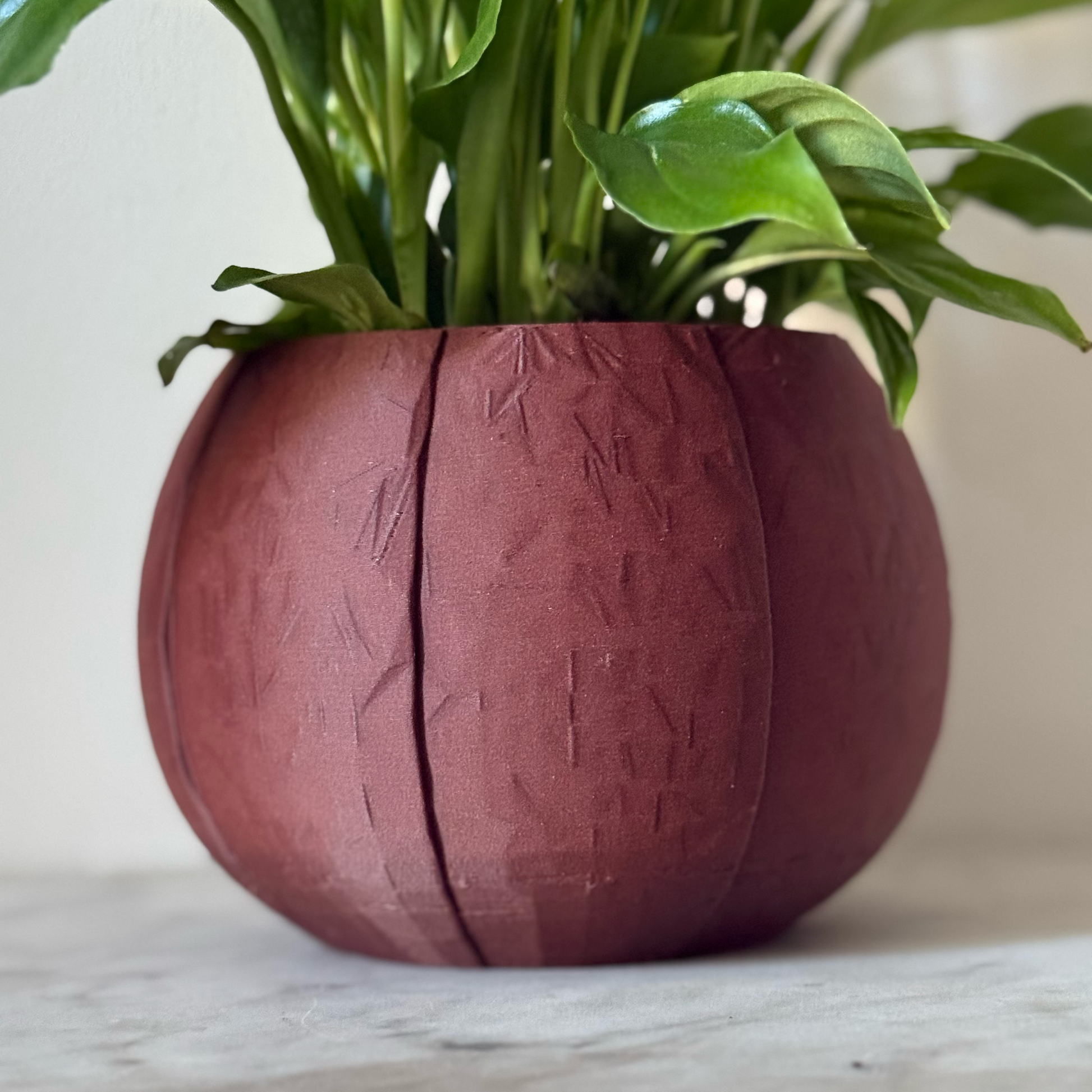 Potted plant in a brown plant pot on a marble surface against a white background