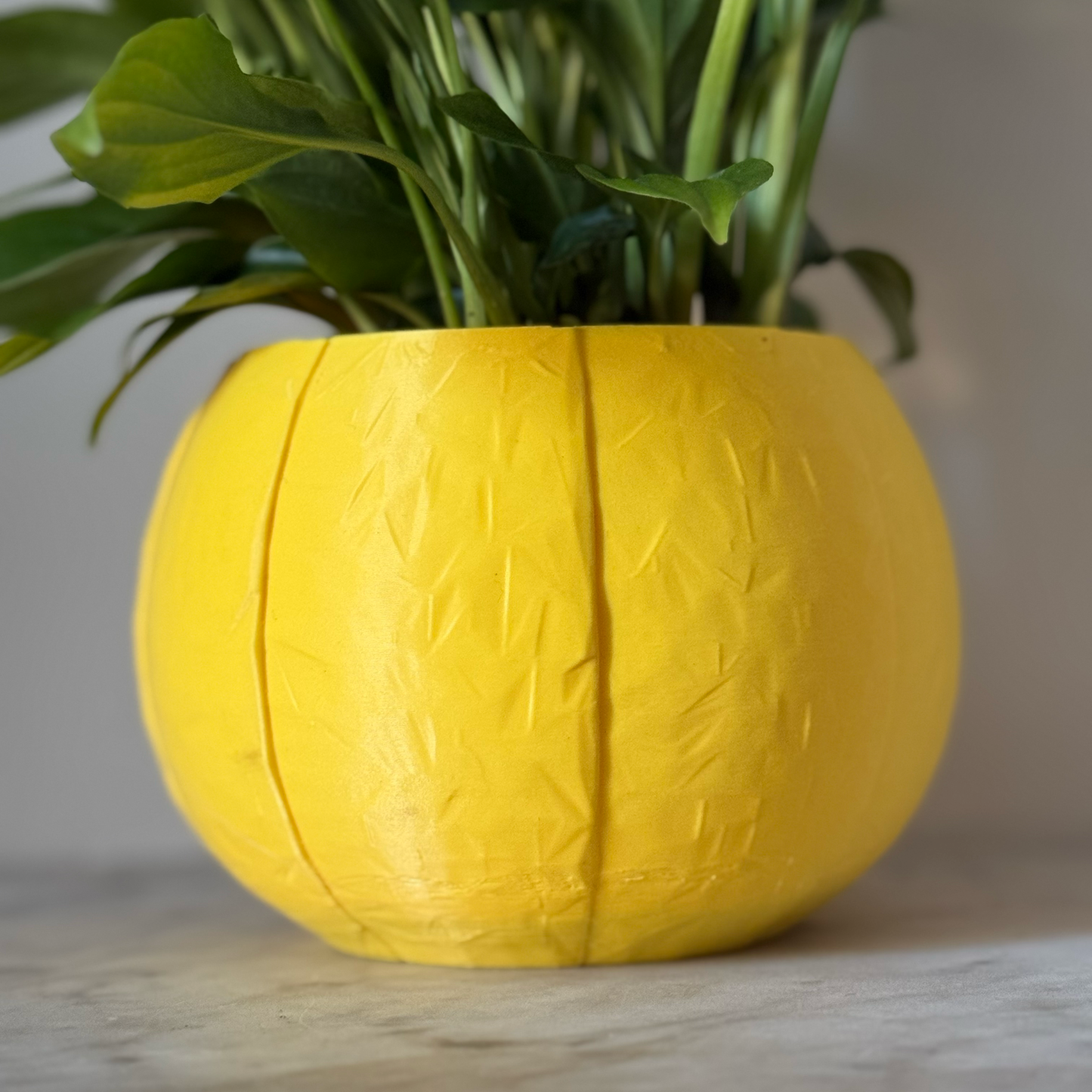 Potted plant in a yellow plant pot on a marble surface against a white background
