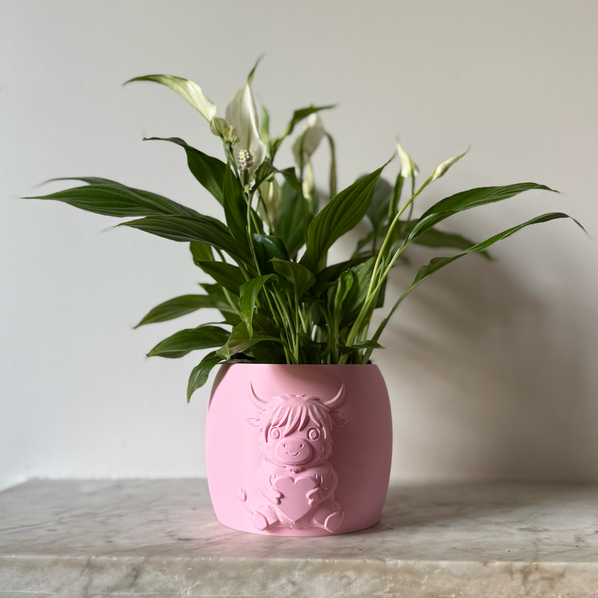 Pink highland cow valentines plant pot with the cow holding a heart in its arms against a white background on a marble top surface