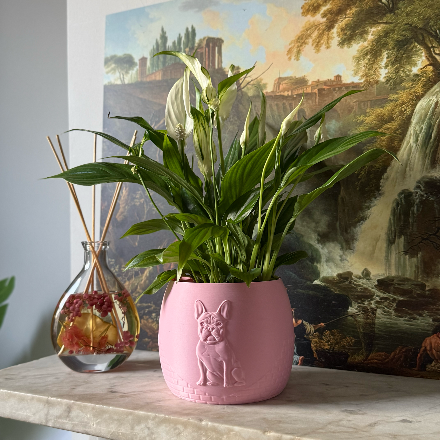 Green potted plant in a pink plant pot with an embossed French Bulldog standing on a marble surface