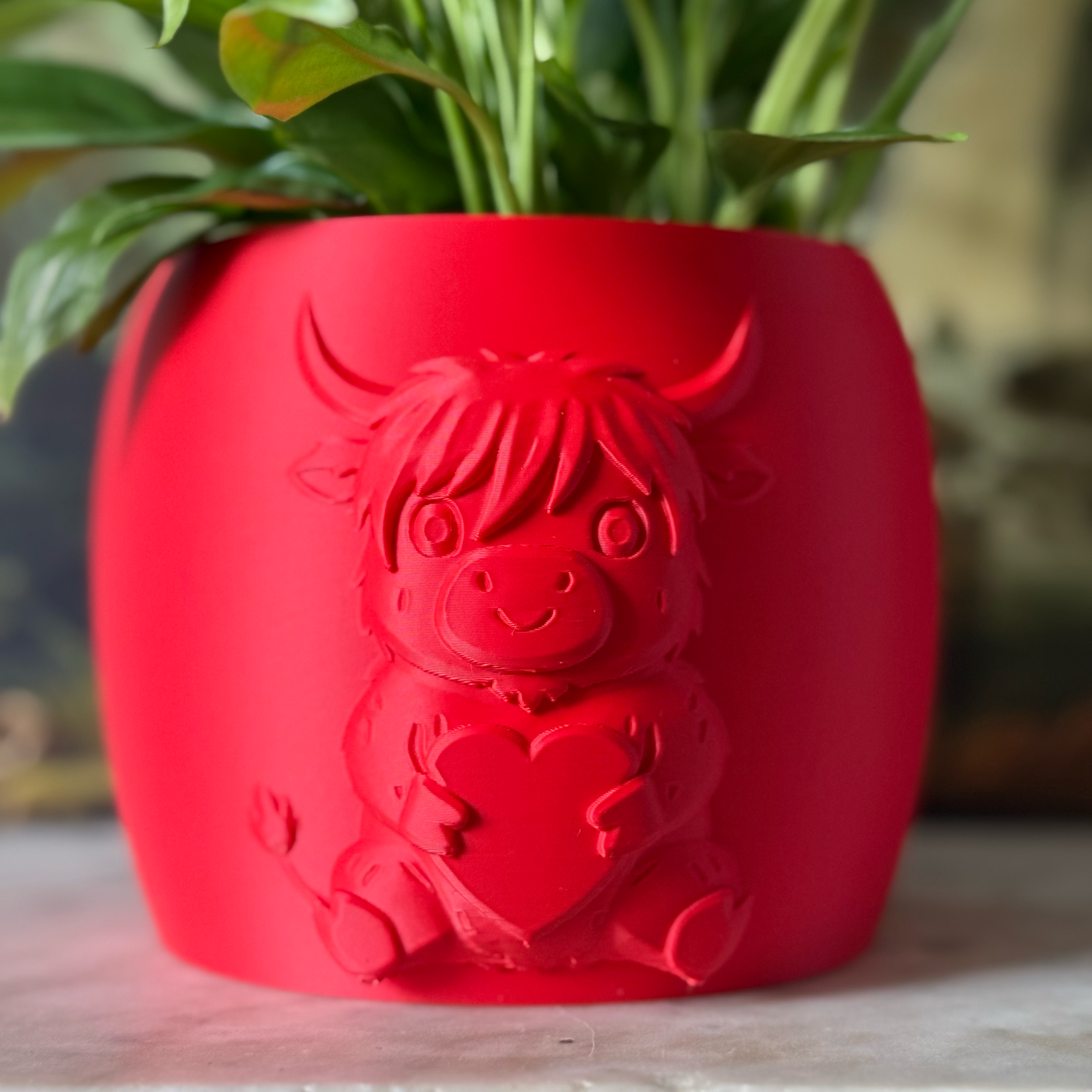Red highland cow valentines plant pot with the cow holding a heart in its arms against a white background on a marble top surface