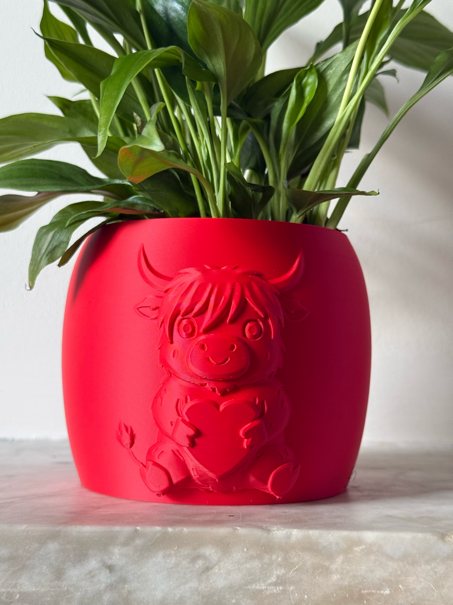 Red highland cow valentines plant pot with the cow holding a heart in its arms against a white background on a marble top surface