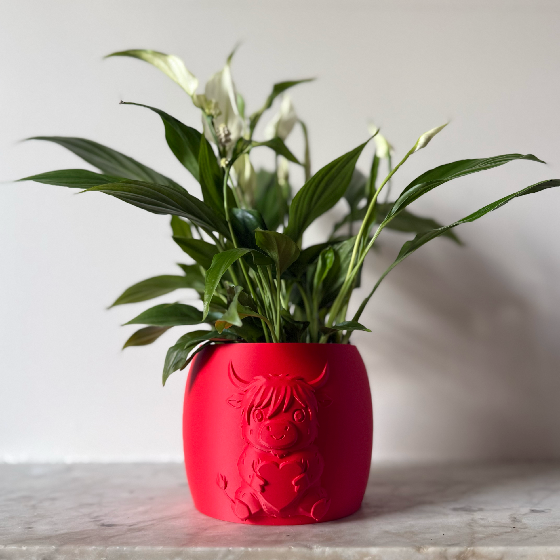 Red highland cow valentines plant pot with the cow holding a heart in its arms against a white background on a marble top surface