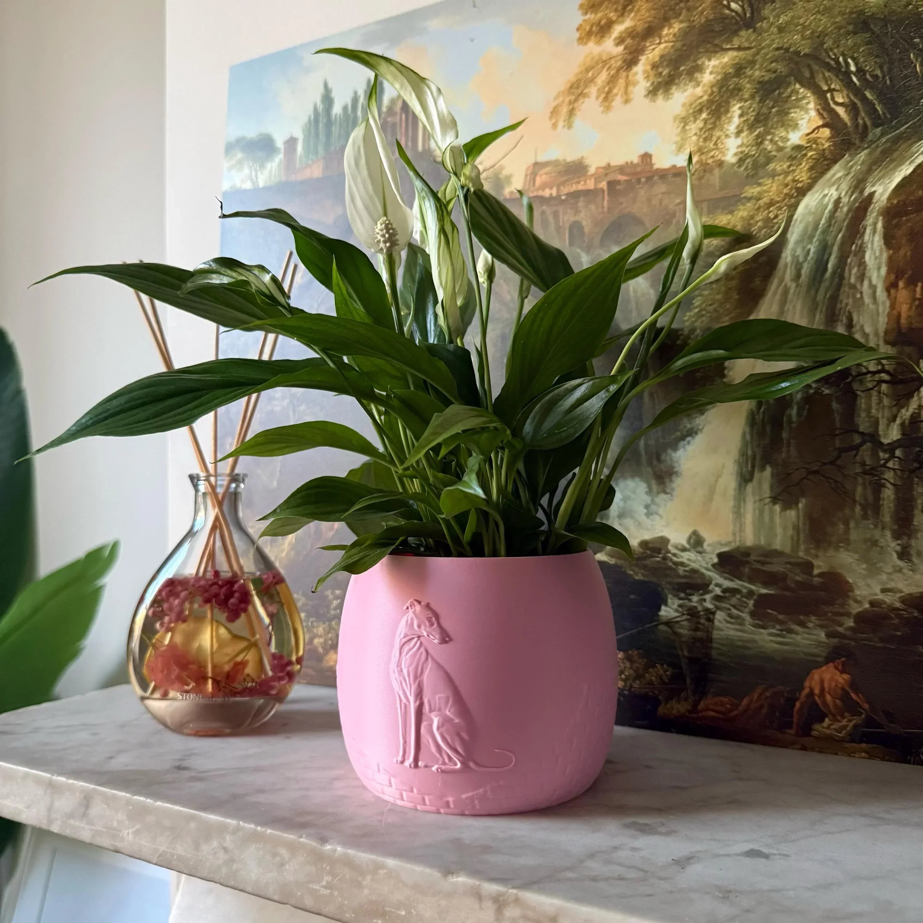 Green potted plant in a pink plant pot with an embossed Greyhound standing on a marble surface