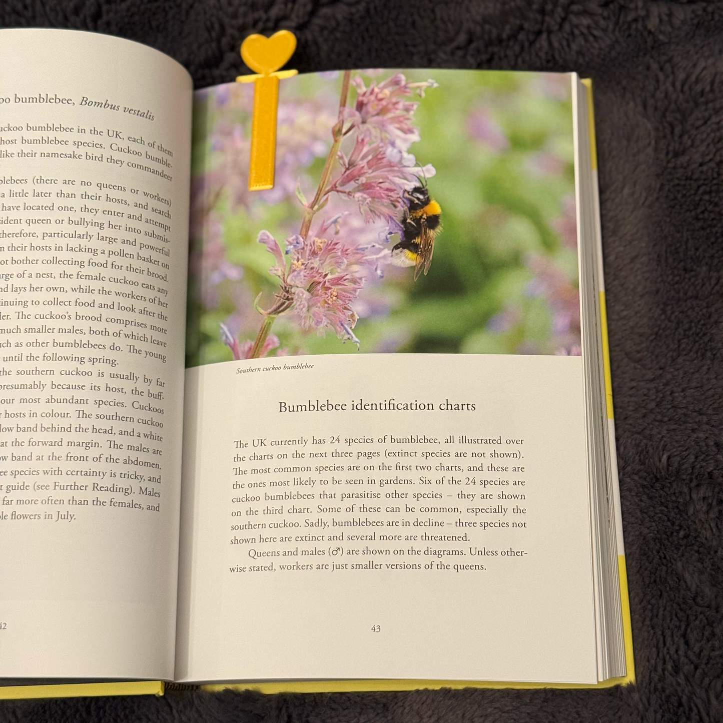 Open book with a yellow heart bookmark on a dark textured surface