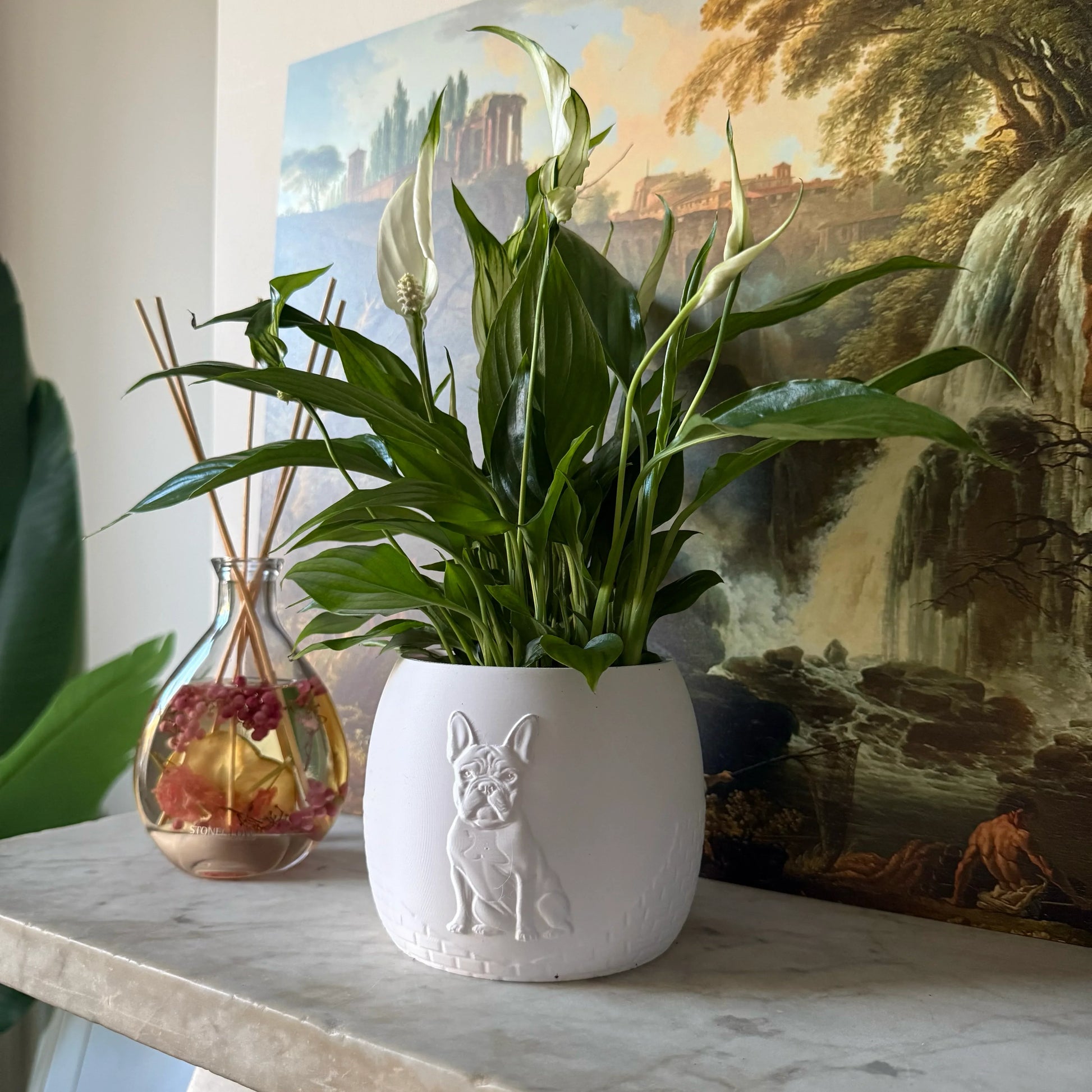 Green potted plant in a white plant pot with an embossed French Bulldog standing on a marble surface