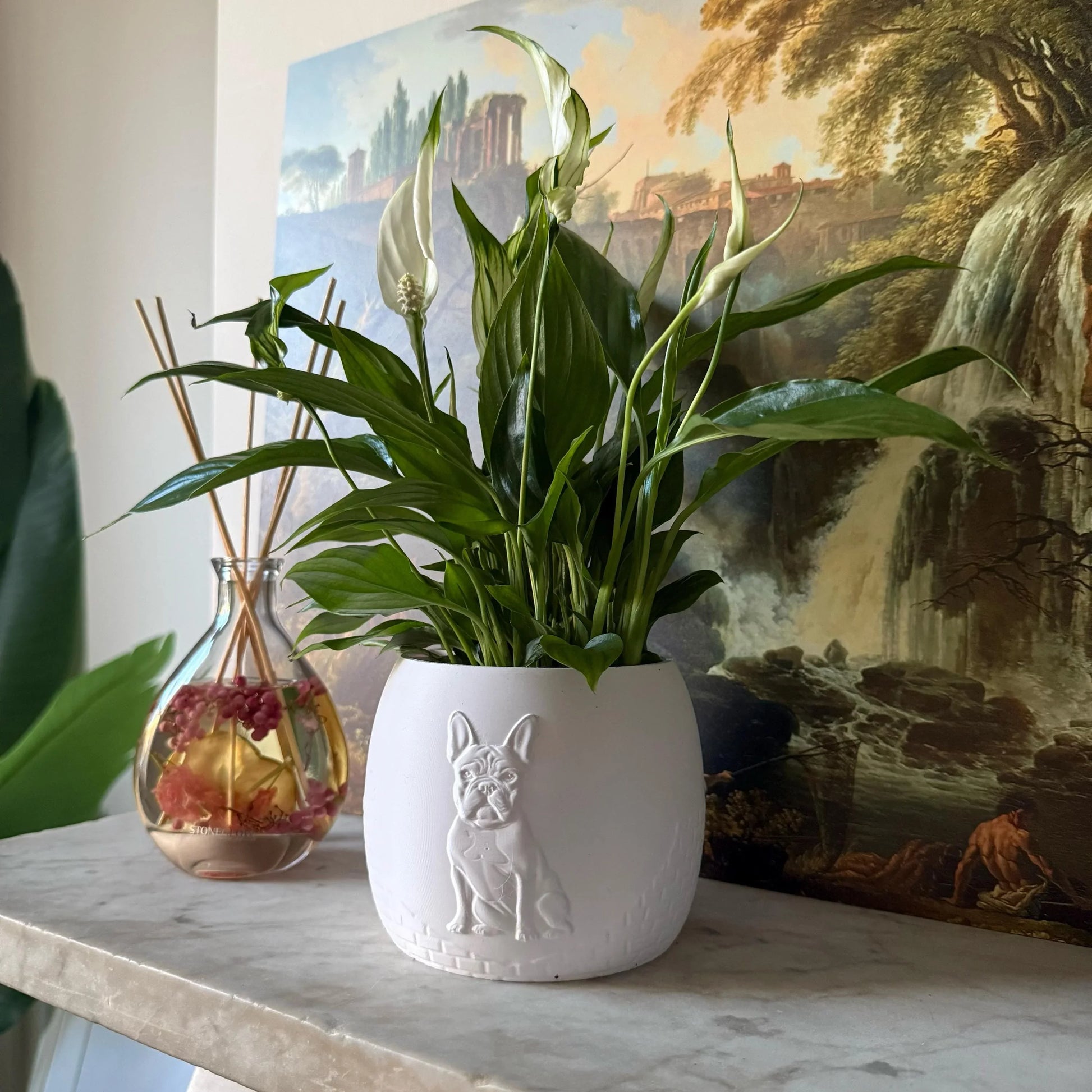 Green potted plant in a white plant pot with an embossed French Bulldog standing on a marble surface
