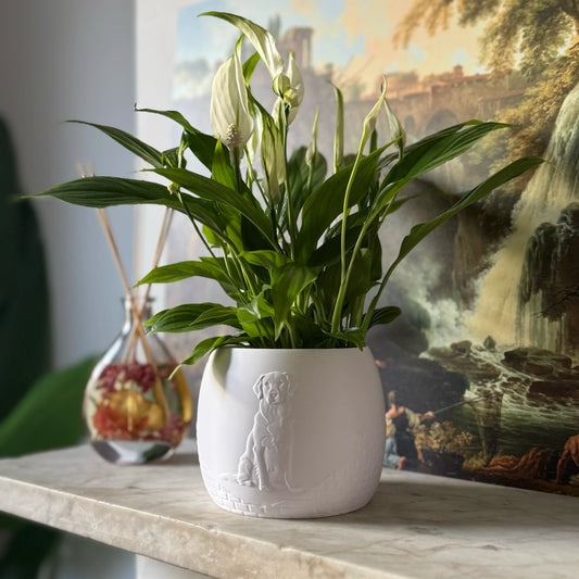 Green potted plant in a white plant pot with an embossed Labrador standing on a marble surface