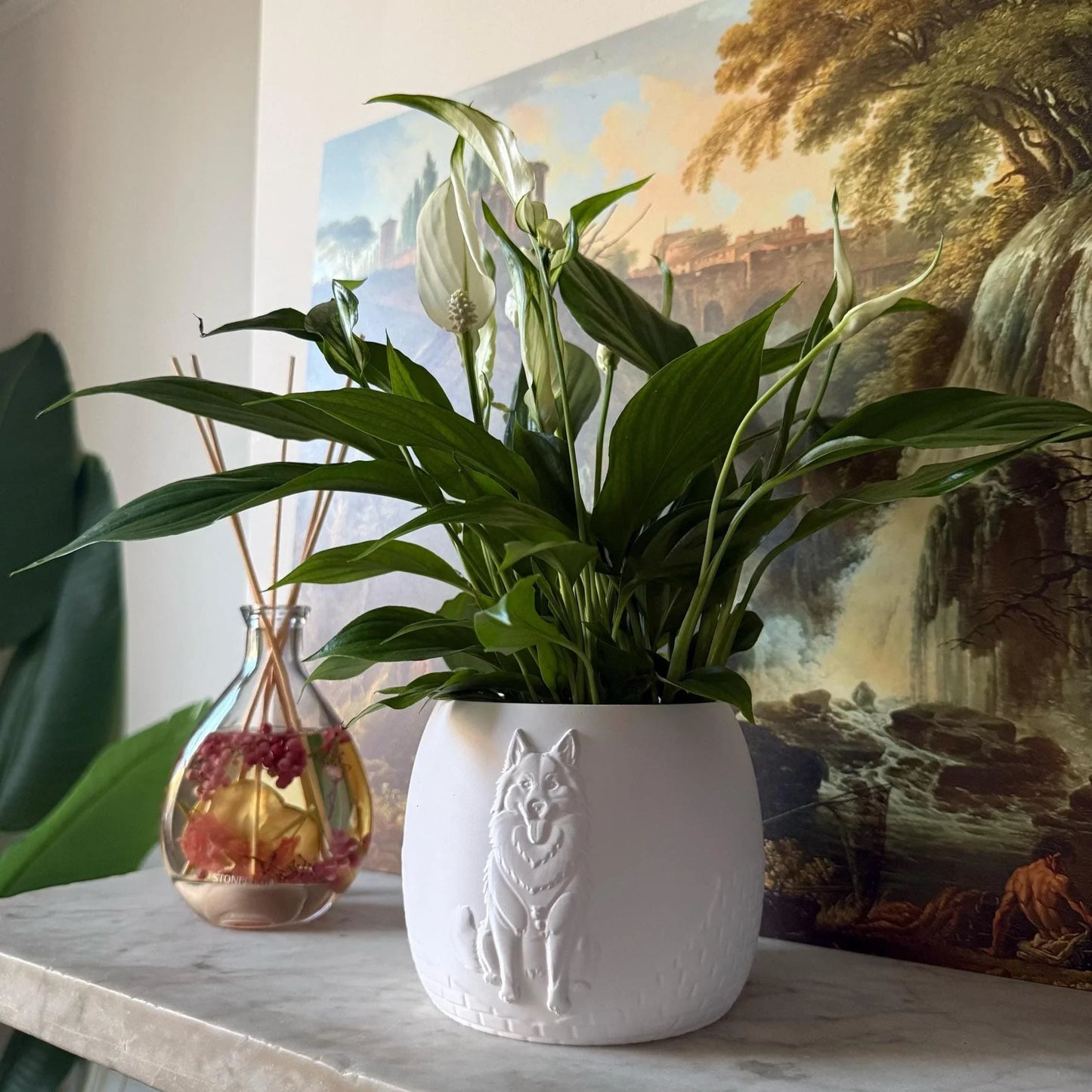 Green potted plant in a white plant pot with an embossed Husky standing on a marble surface