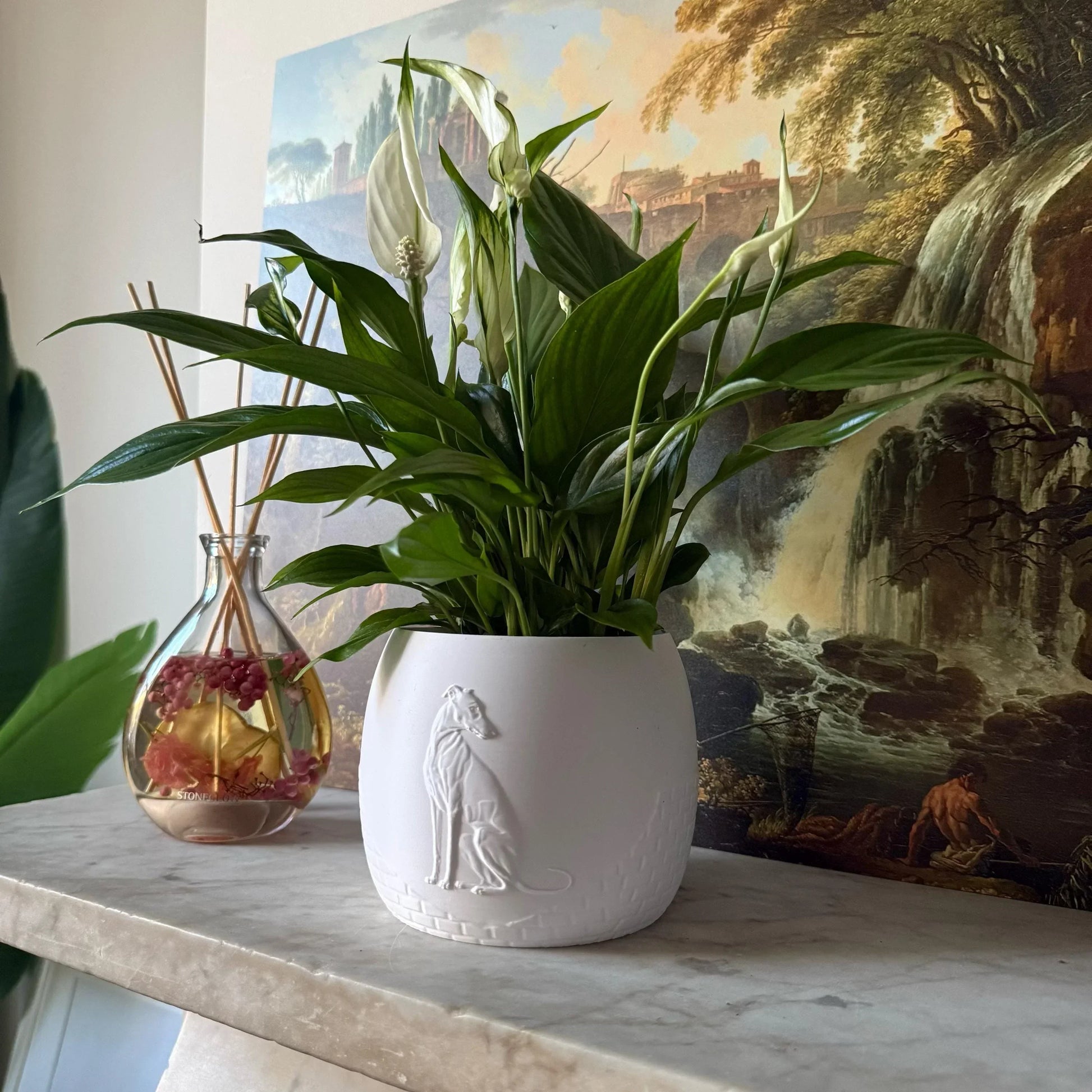 Green potted plant in a white plant pot with an embossed Greyhound standing on a marble surface