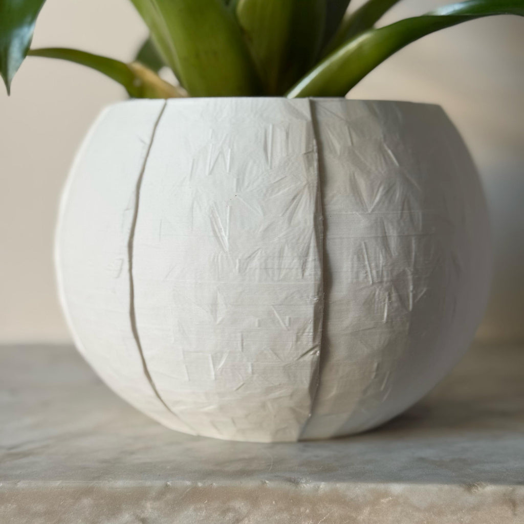 Self-Watering Coconut Plant Pot - Large - All Colours