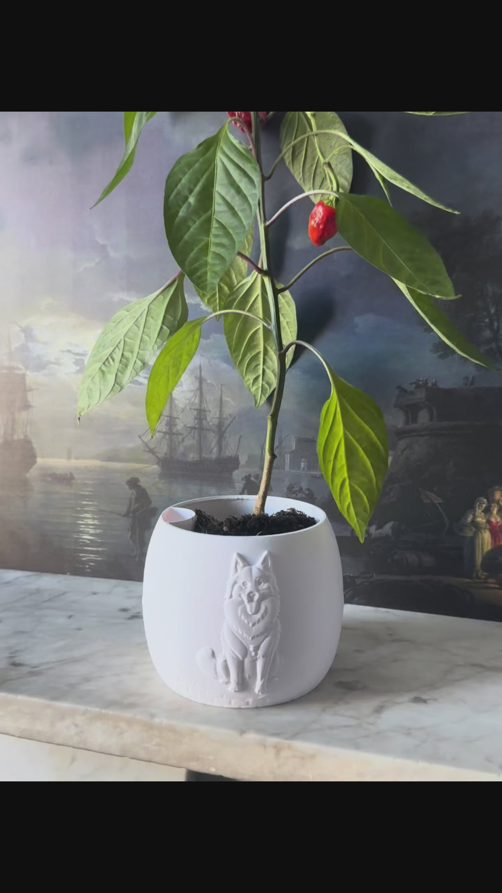 French Bulldog Plant Pot - Self-Watering - All Colours