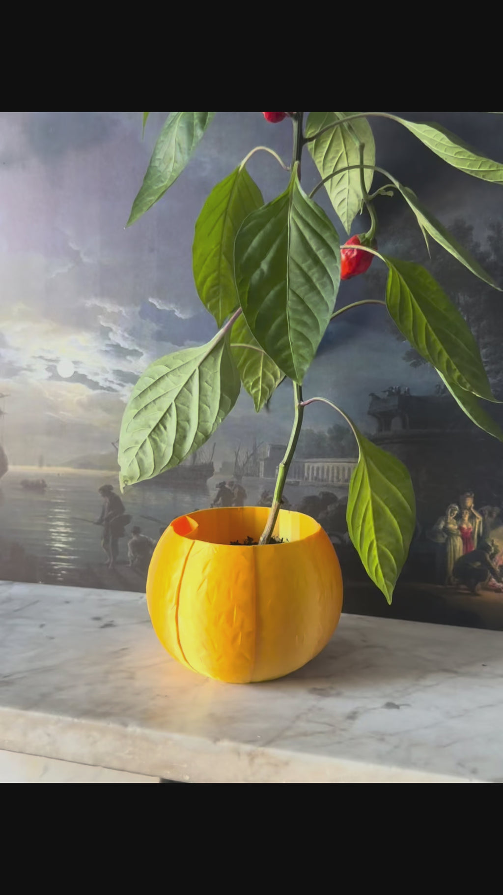 Coconut Plant Pot - Self-Watering - Medium - All Colours