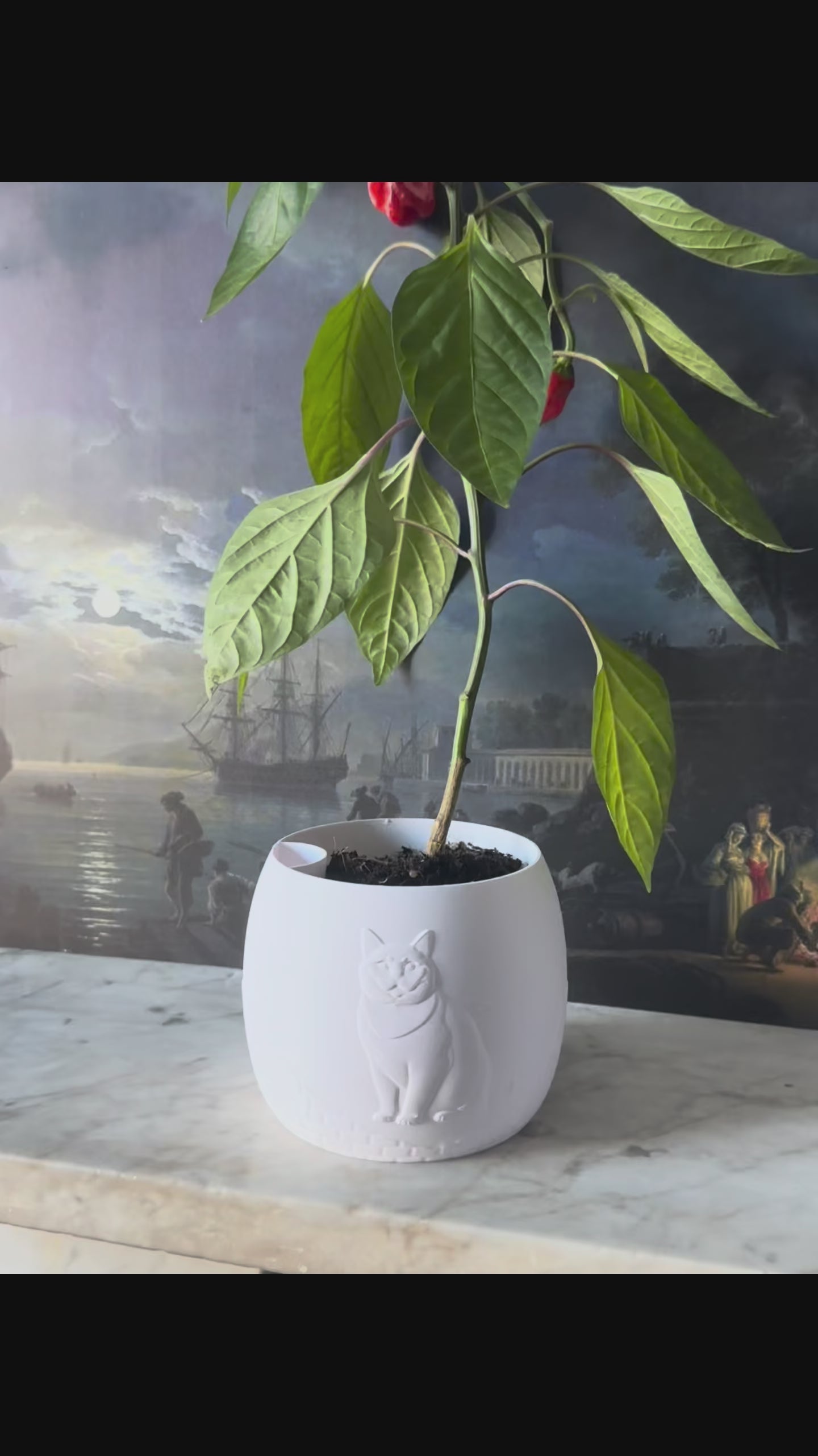 British Shorthair Cat Plant Pot - Self-Watering - All Colours